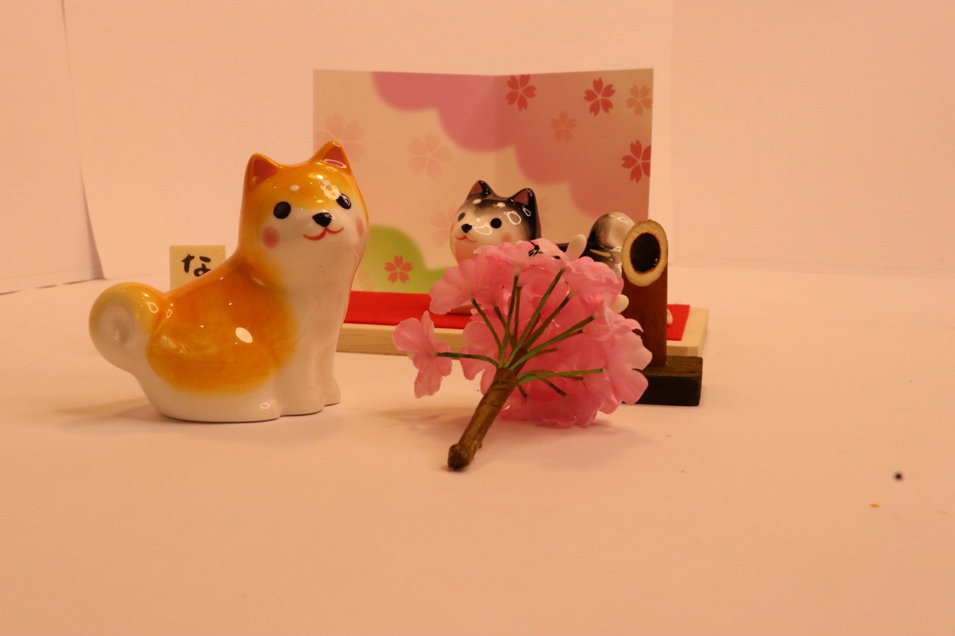 2 Shiba inu~~Japanese dogs sit with Sakura flower - LE COSE DIYADI